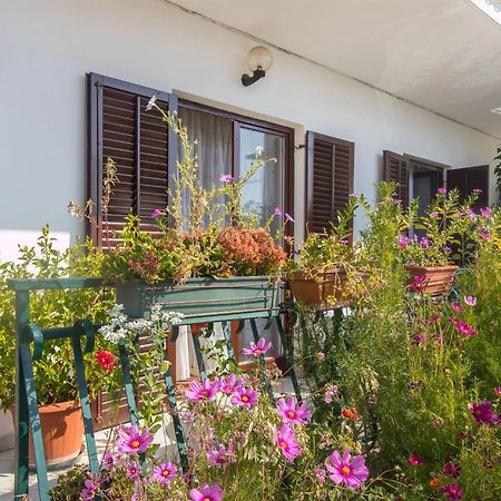 Apartment Vinka Trogir Bagian luar foto